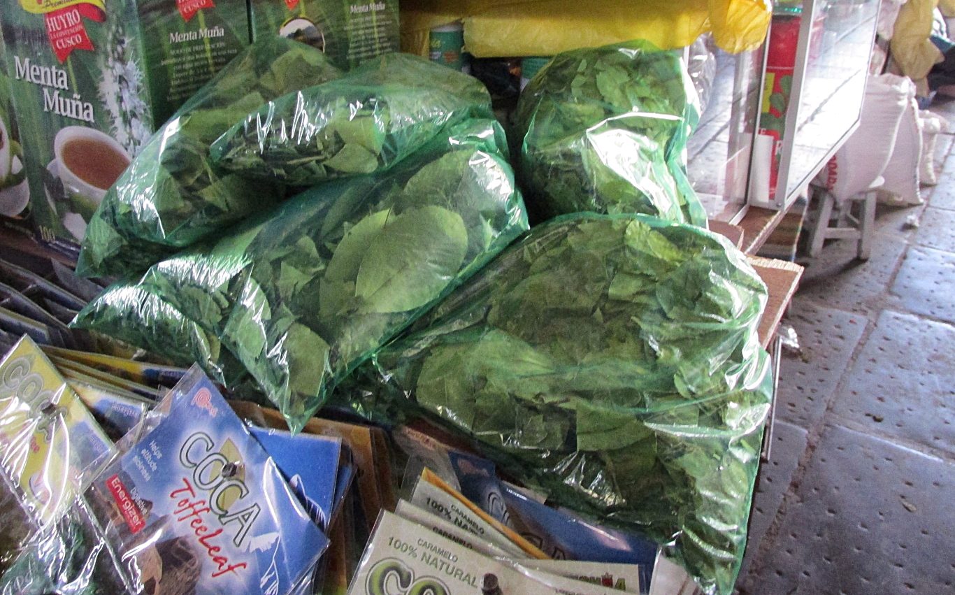Coca leaves in Peru