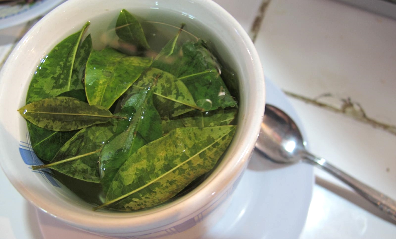 Where to Buy Coca Tea in Usa 