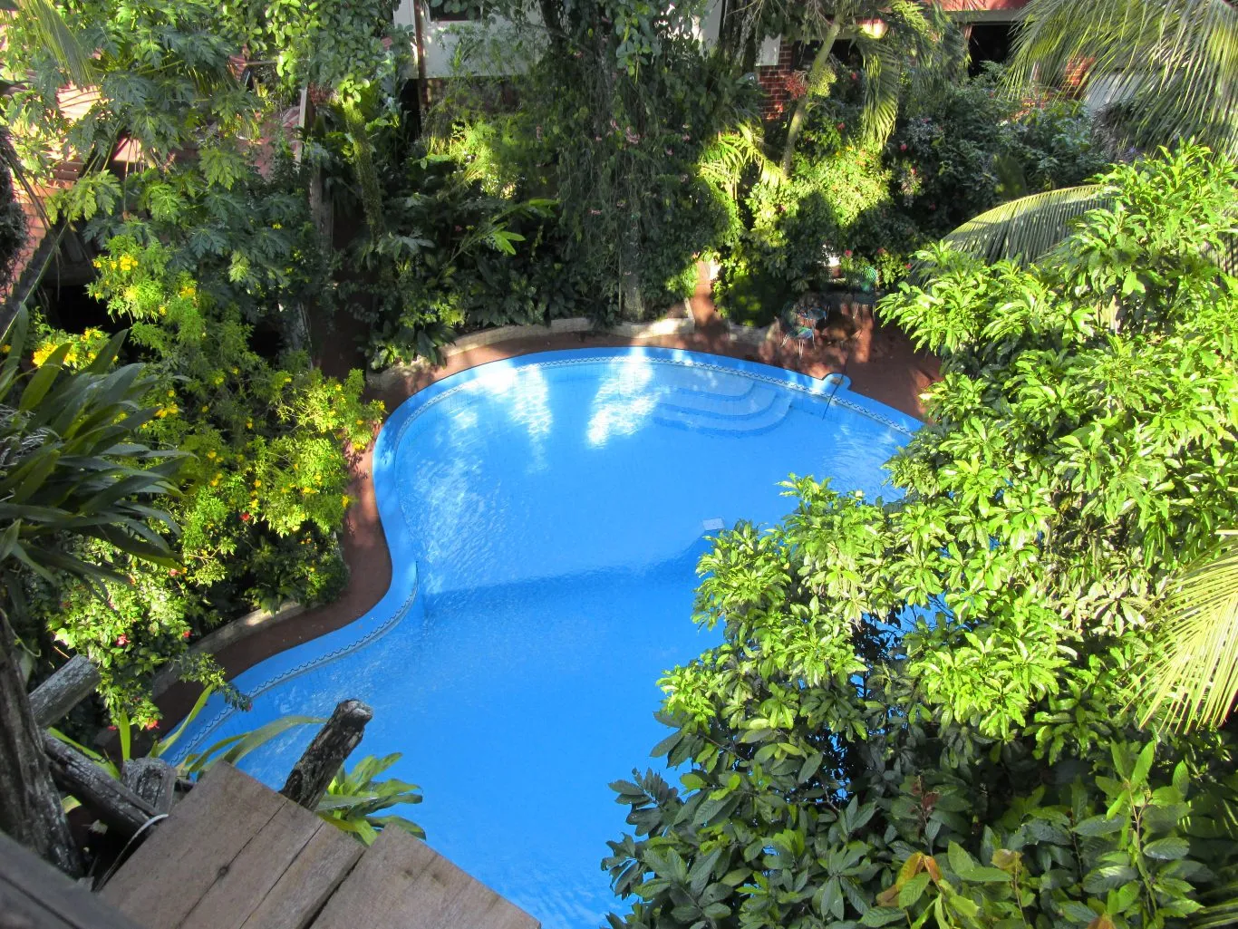 Swimming pool at La Casa Fitzcarraldo in Iquitos