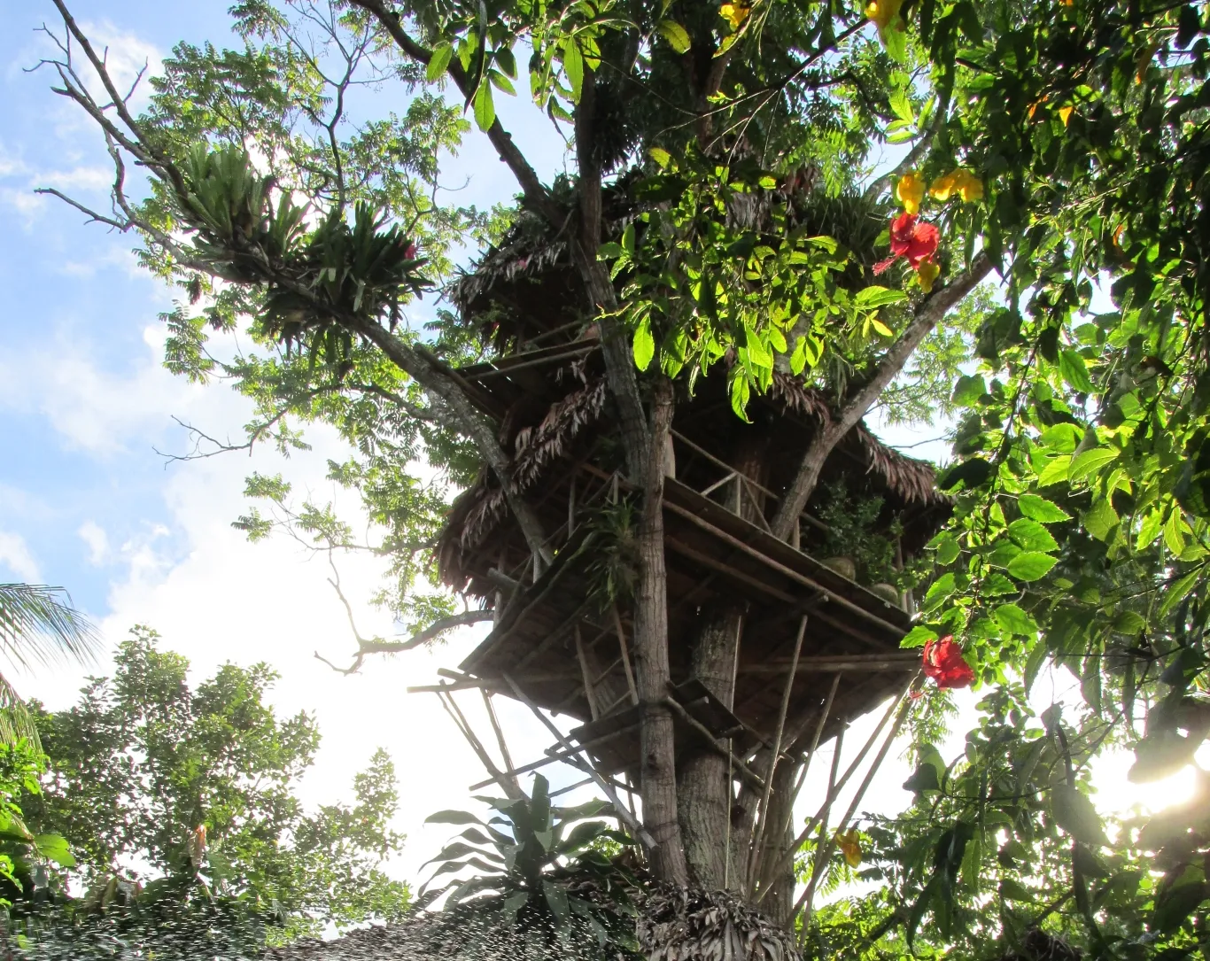 Tree house at Casa Fitzcarraldo