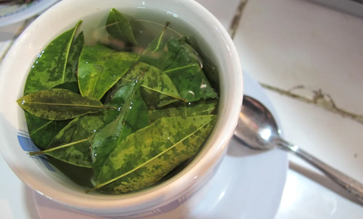 A cup of coca tea in Peru (photo by Los viajes del Cangrejo, flickr.com)
