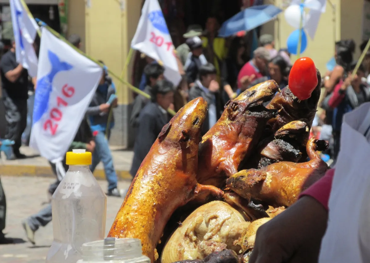 Guinea pig in Cusco