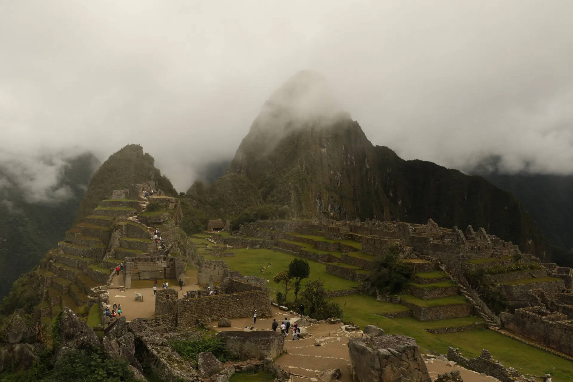 best inca trail tour companies