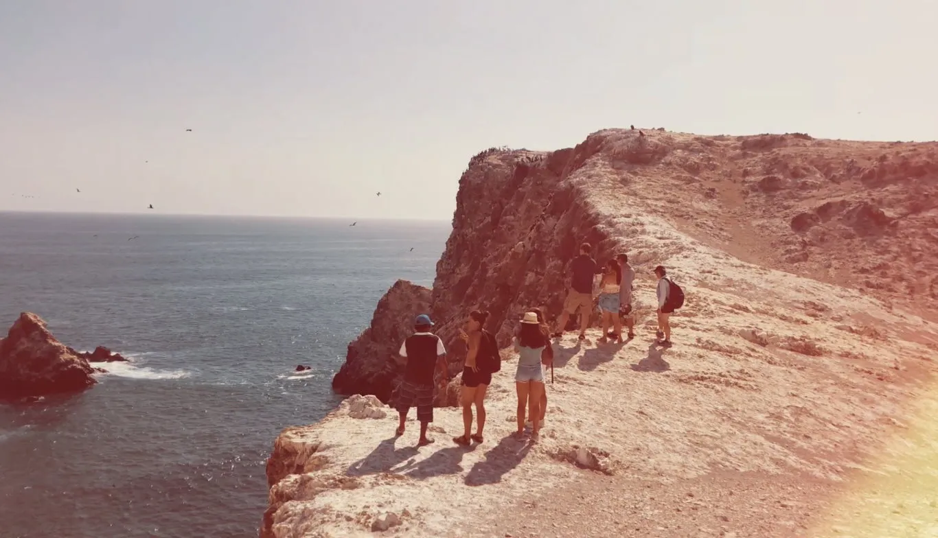Exploring Isla Foca