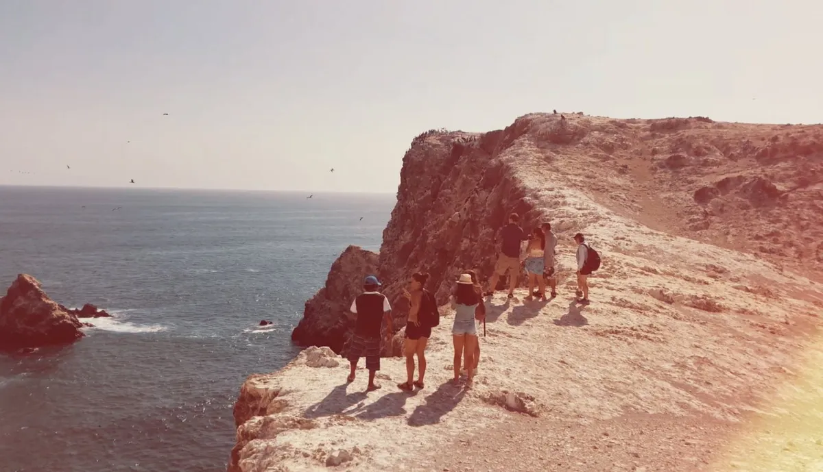 Exploring Isla Foca