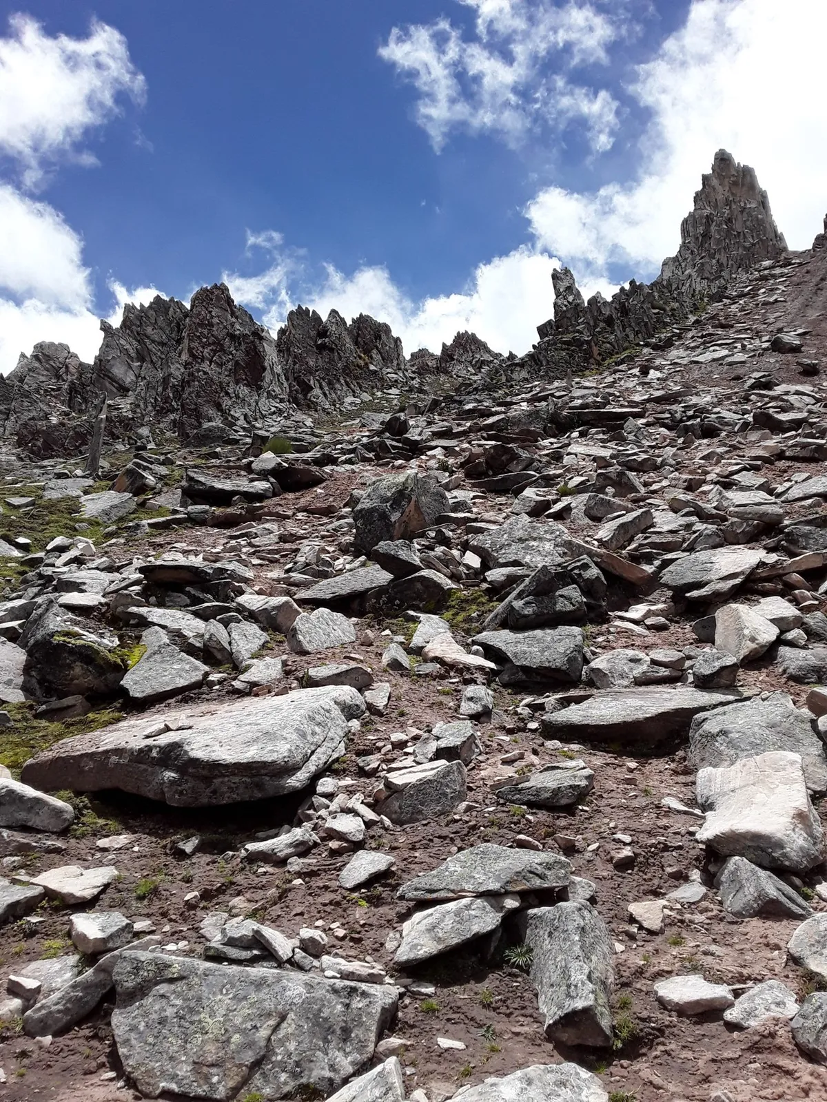 Bosque de Piedras near Palccoyo