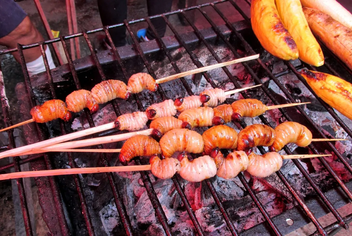 Weird foods in Peru, suri grubs