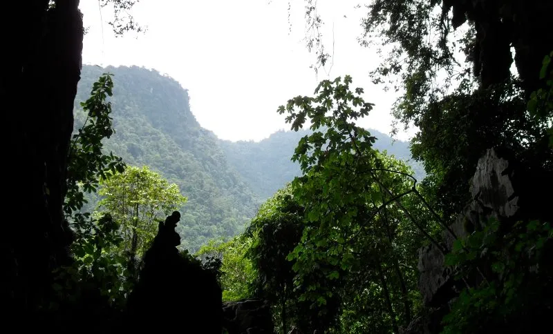 Tingo Maria National Park, Huánuco