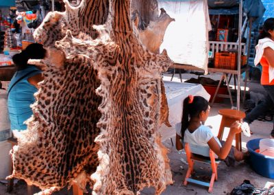 Animal pelts in Yurimaguas market