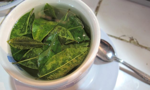 Drinking Coca Tea Drug Test Results. What You should know in 2022.